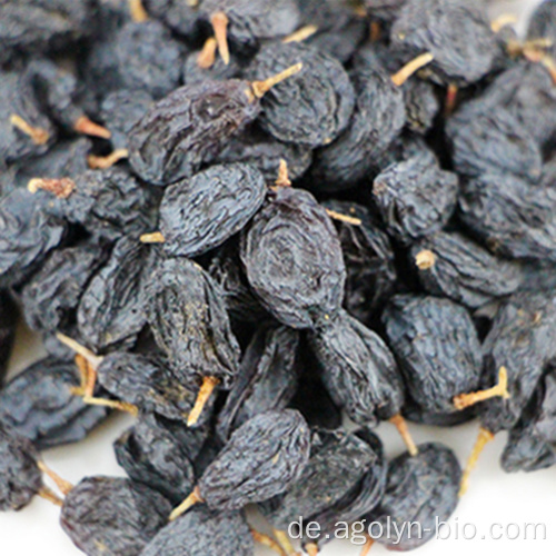 Xinjiang süßer Geschmack getrocknete kernlose schwarze lila Rosine